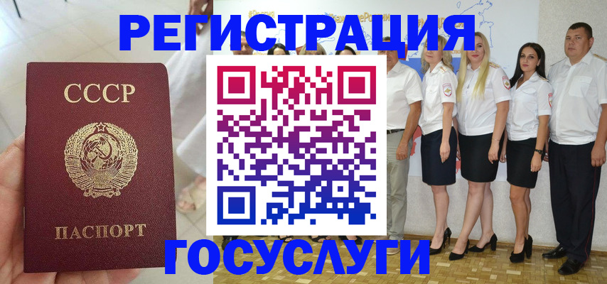 где прописаться в Купино